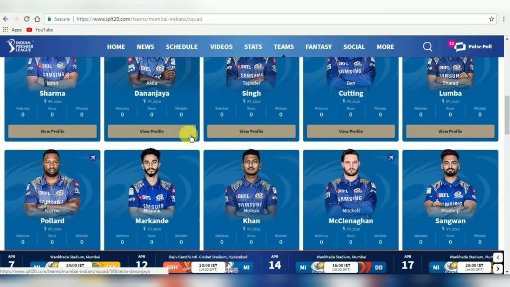 Choose your virtual IPL team