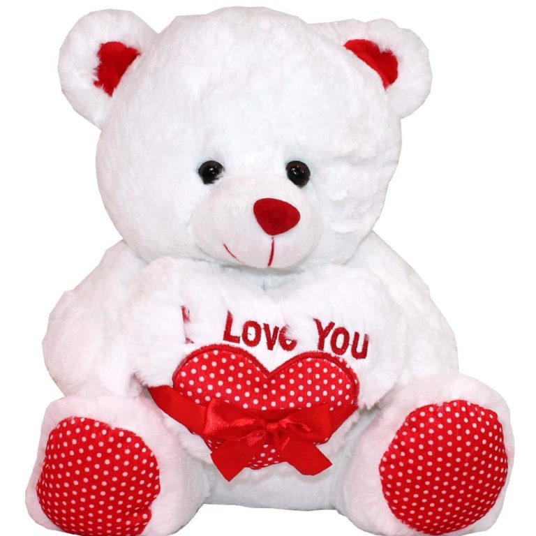 teddy day gift for gf