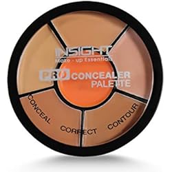 INSIGHT MAKEUP CONCEALER FOR BEGINNER